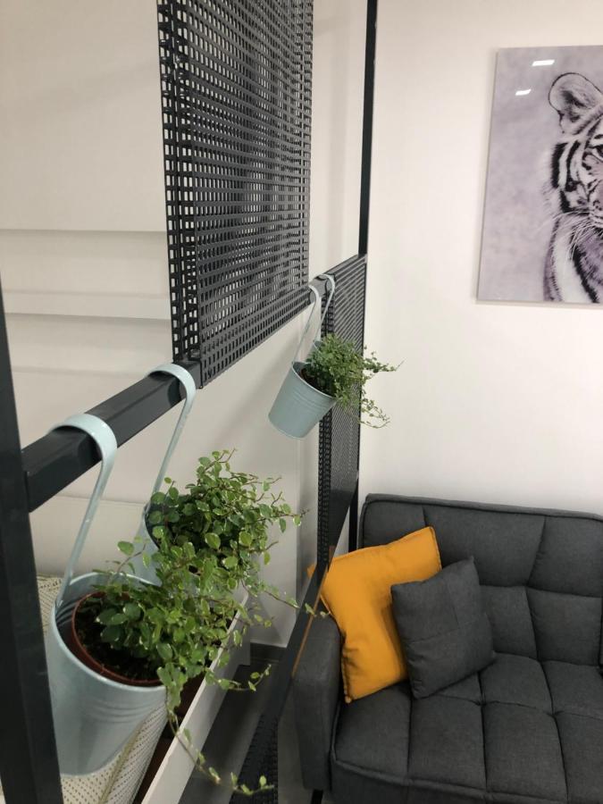 London Apartman Szeged Kültér fotó