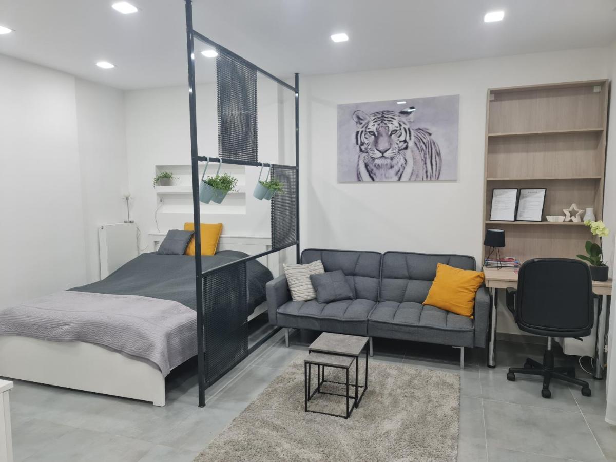 London Apartman Szeged Kültér fotó